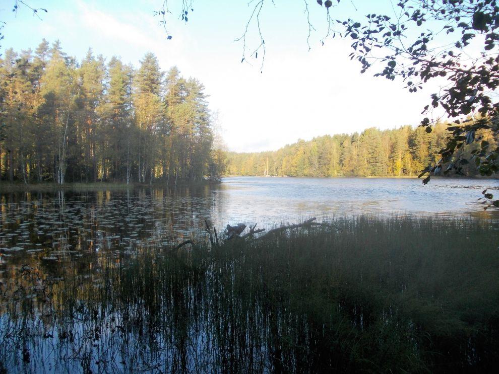 Jezero Haukkalampi