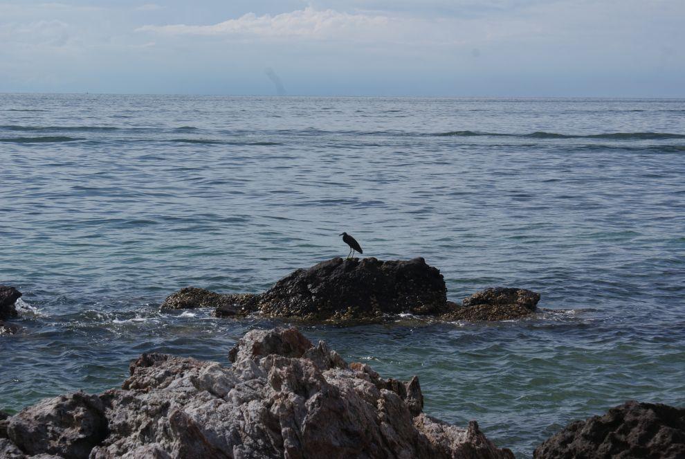 Koh Lan