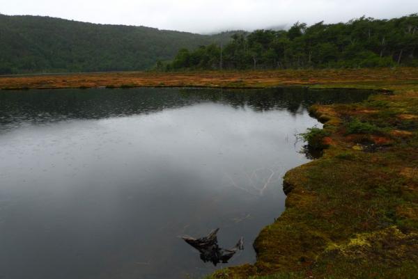 Laguna Negra