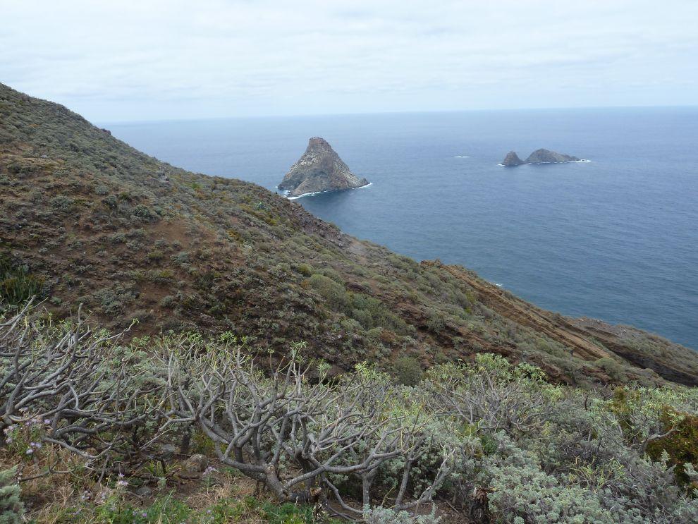 Oceán
