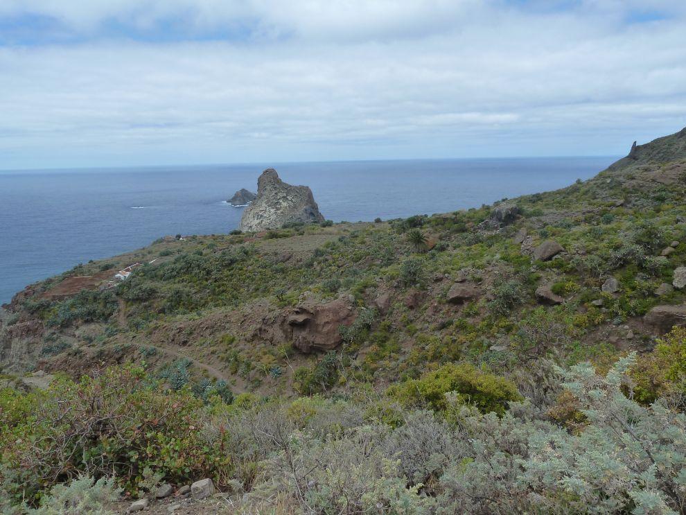 Oceán