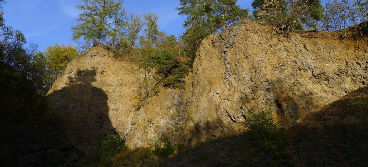 Lom Hřídelecká hůrka