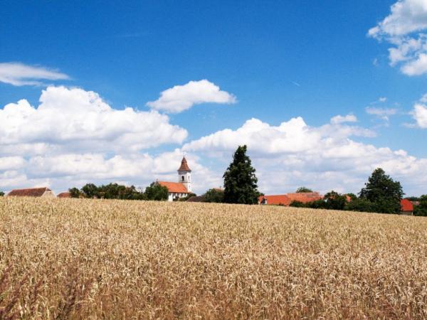 Cestou do Čížova