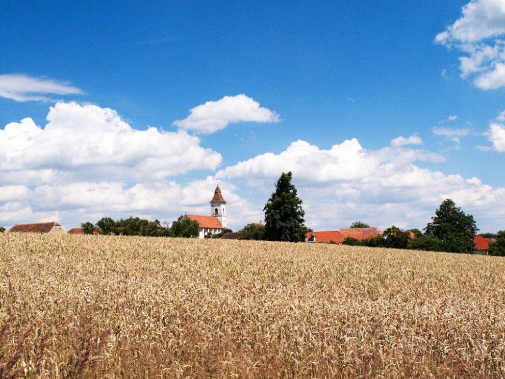 Cestou do Čížova
