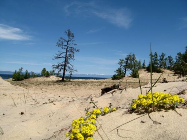 Pescanaja - Sand dunes