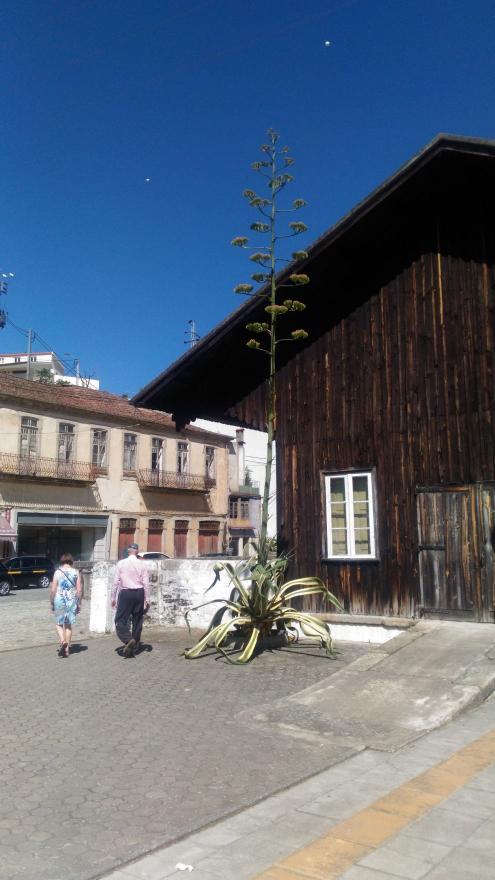 Douro