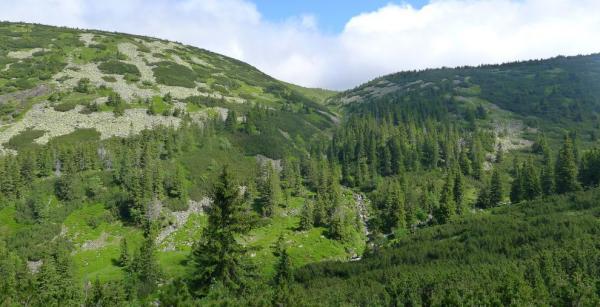 Stříbrná Bystřina