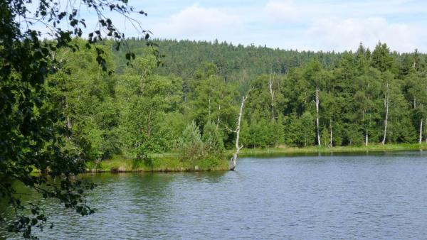 Kladský rybník