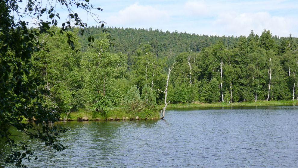 Kladský rybník