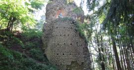 Prohlídka zříceniny hradu Kynžvart