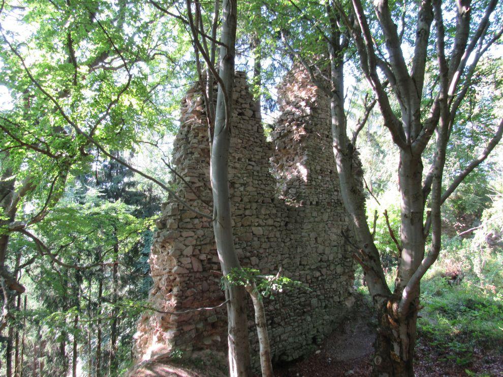 Hrad Kynžvart