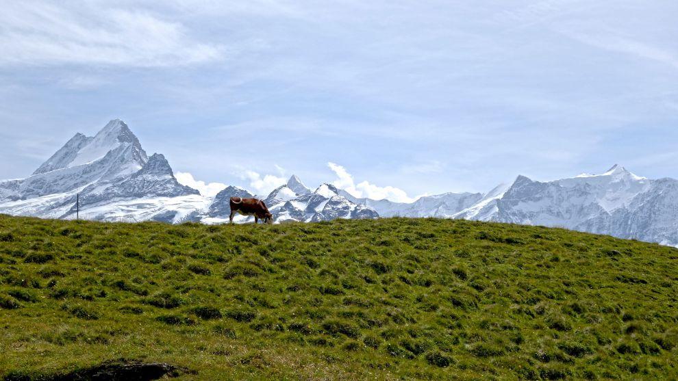 Cesta k Bachsee (2261 m n. m.)