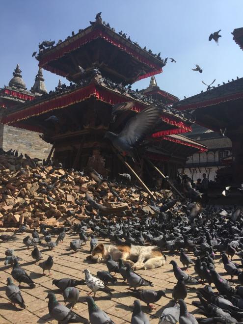 Durbar square a poničené pagody.