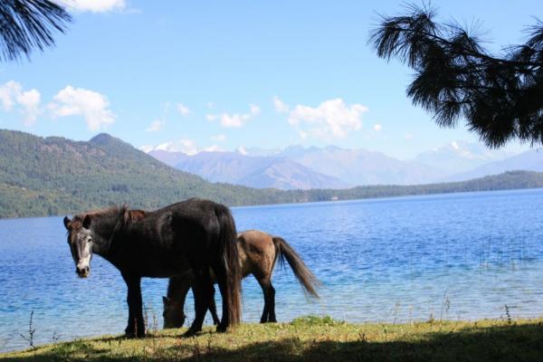 Jezero RARA