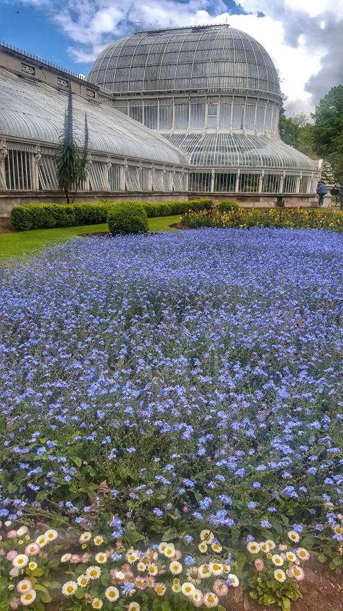 Botanic garden