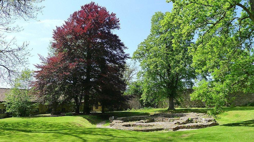 Park at the monastery