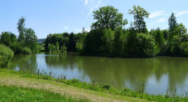 Laguna