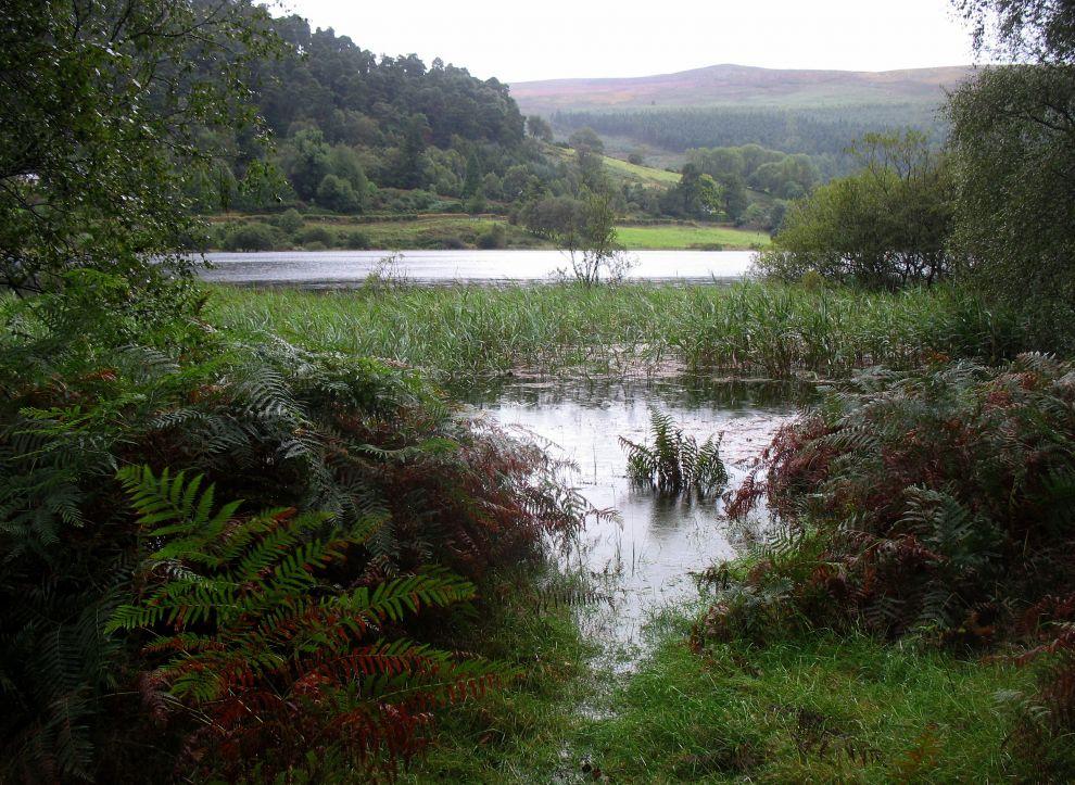 Dolní jezero Glendalough