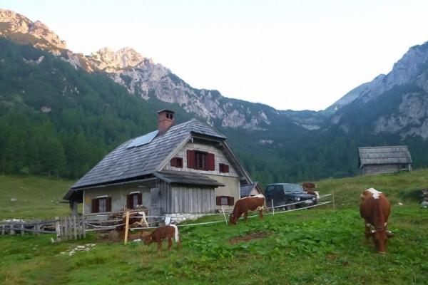 Planina Konjščica