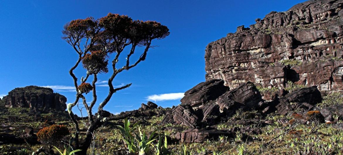 Roraima