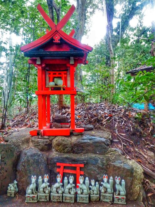 Inari