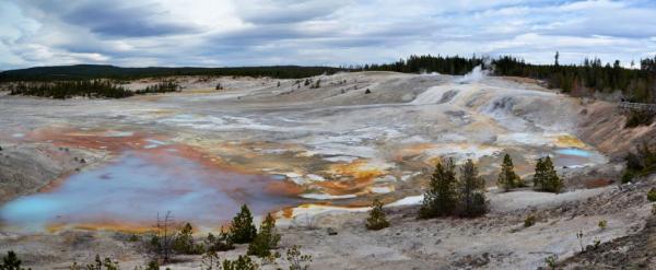 Porcelain Basin v Norris Geyser Basin