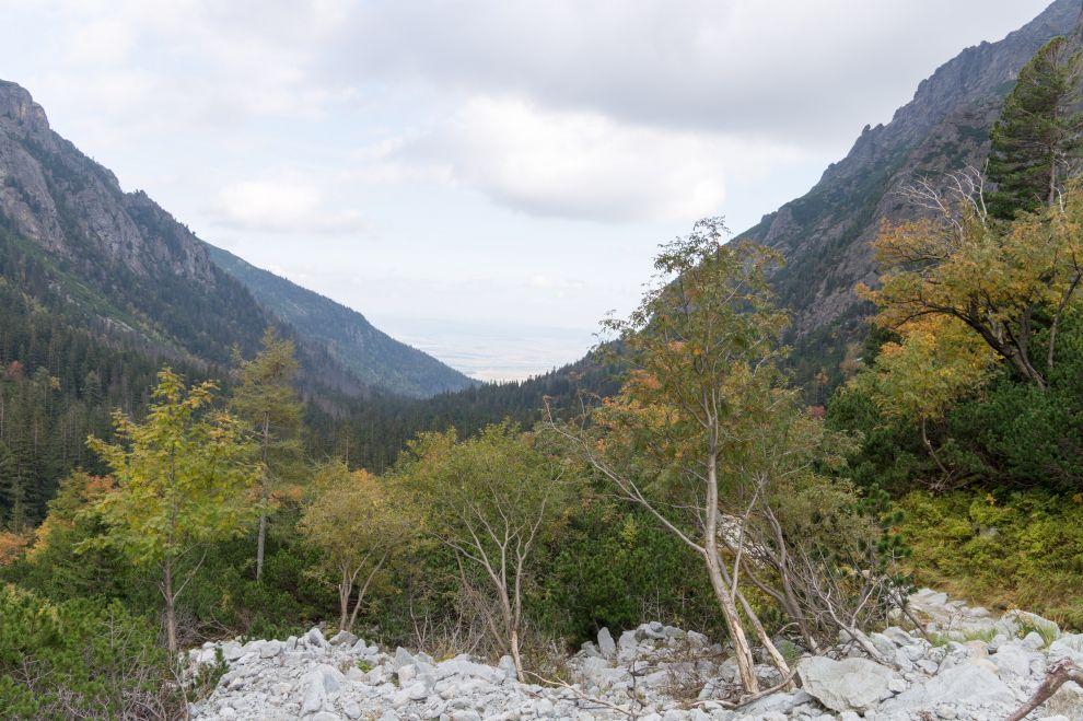 Výhľad do doliny