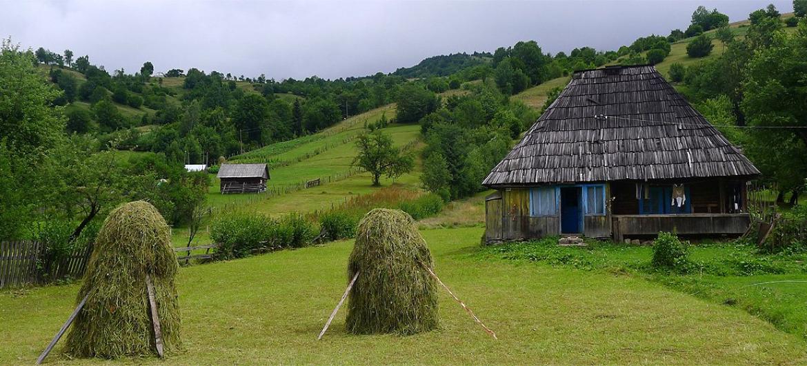 Ukrajina