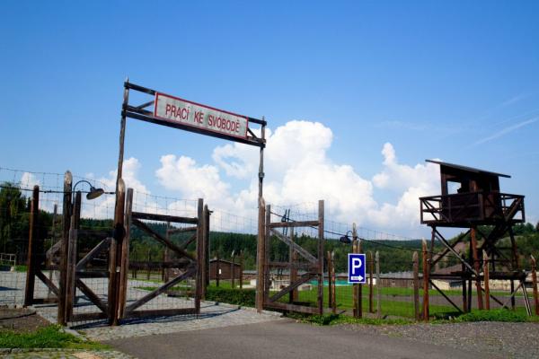 Vstupní brána