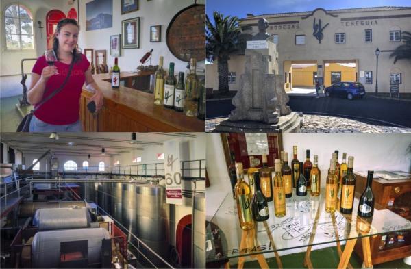 Bodegas Teneguía