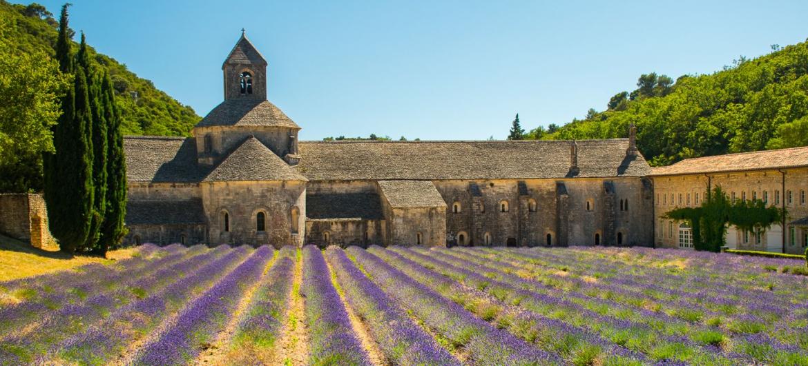 Abbaye Notre-Dame de Sénanque
