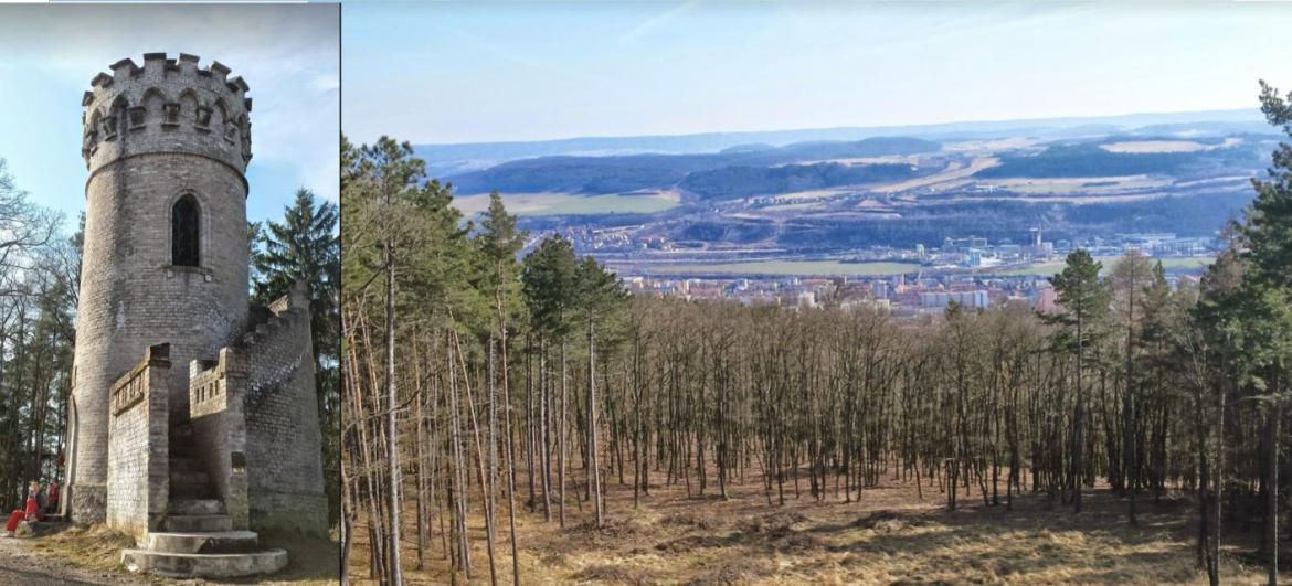 Rozhledna Děd