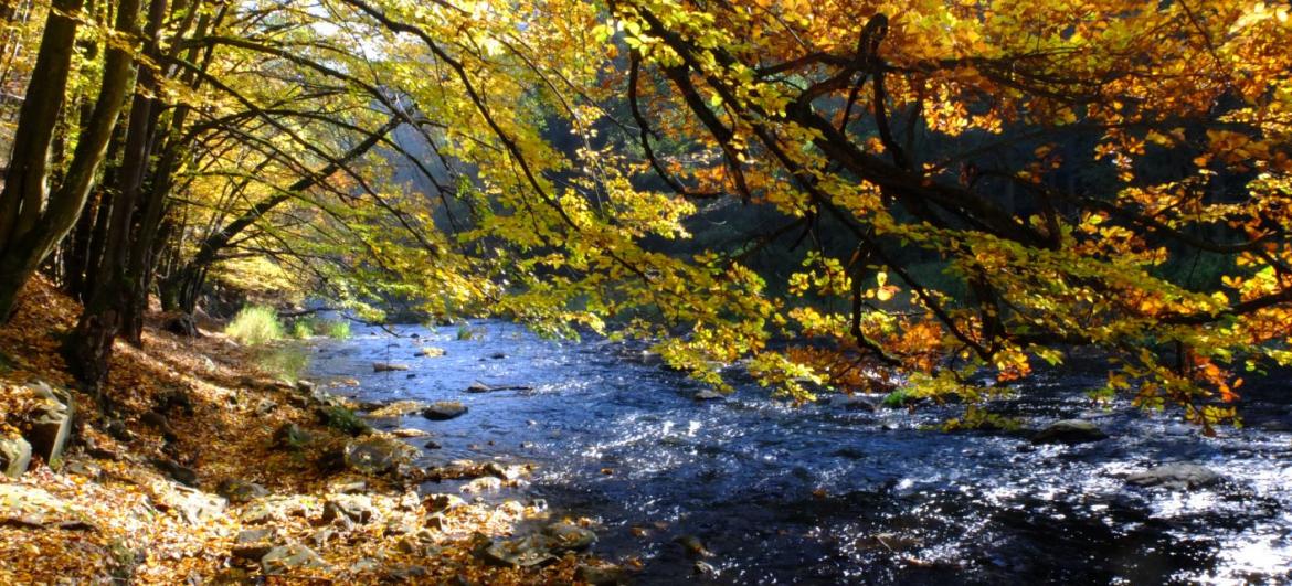 Přírodní údolí Oslavy a Chvojnice: Počasí a sezóna
