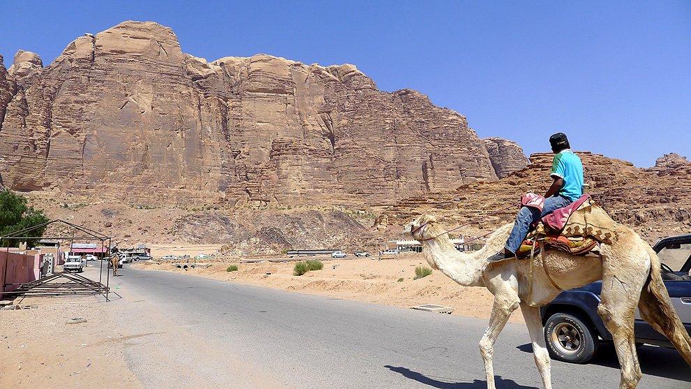 Jeep versus camel