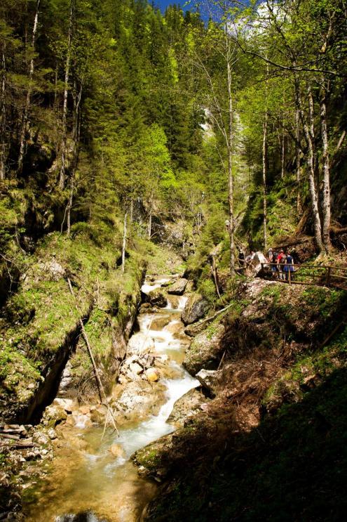 Bärenschützklamm