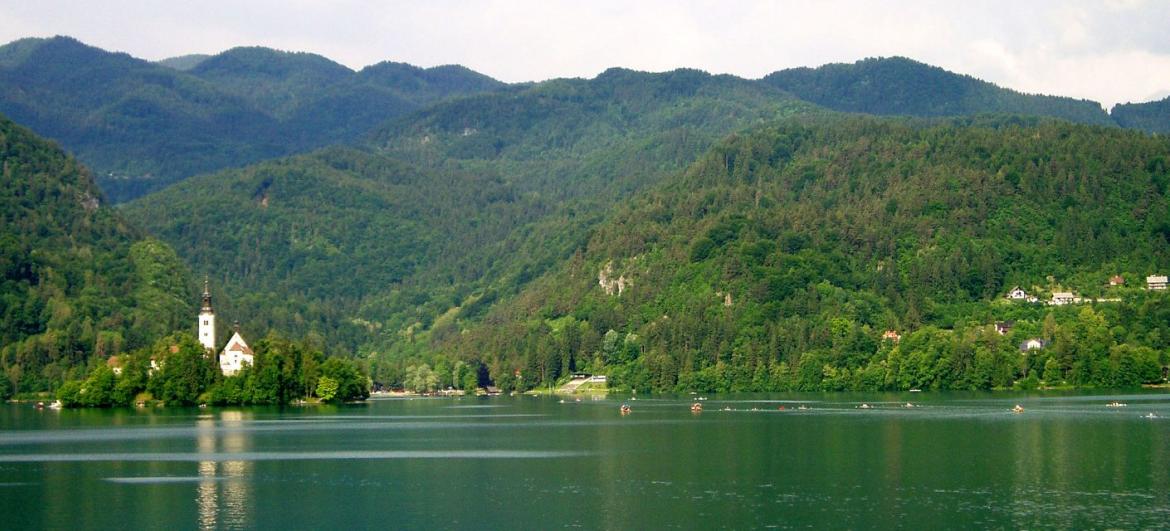 Bledské jezero