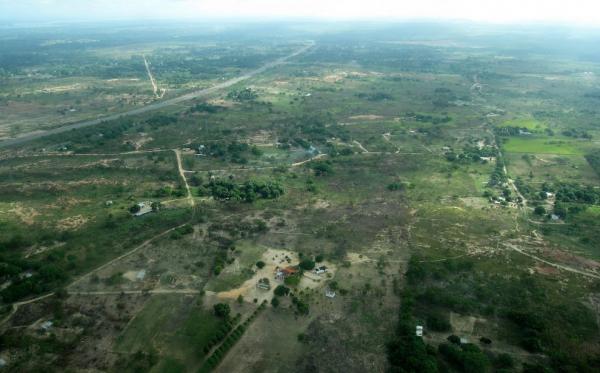 Vymýcená krajina