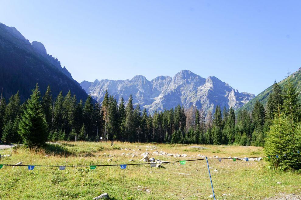 Výhľady na Tatry