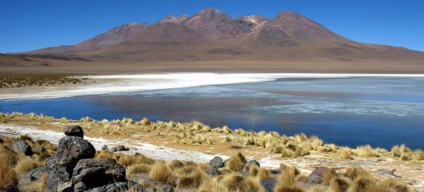 South America