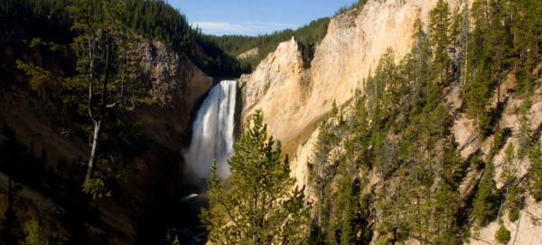 Yellowstone national park