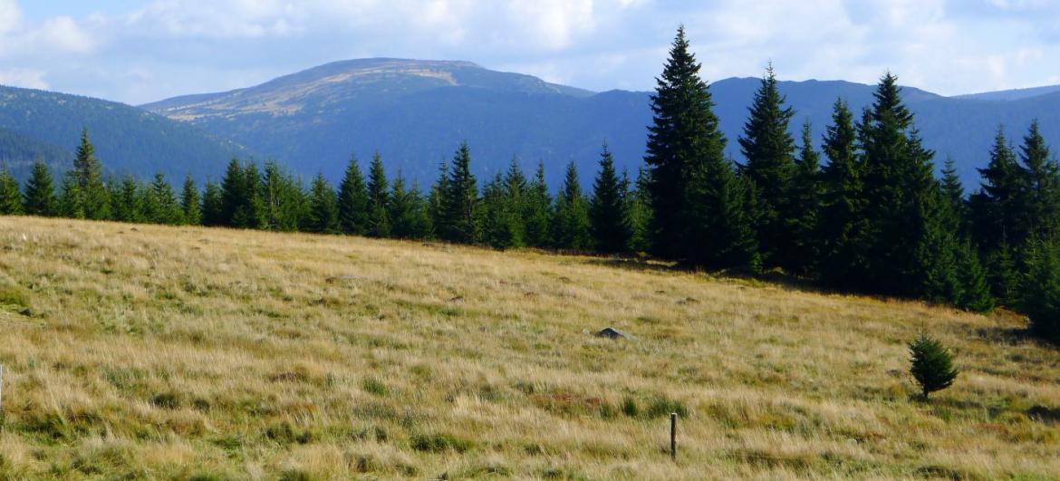 Túra Špindlerovka - Moravská bouda - Špindl