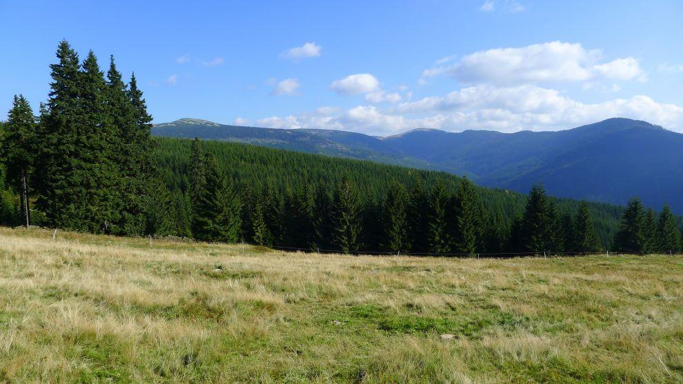 Panoramatický výhled do údolí Bílého Labe
