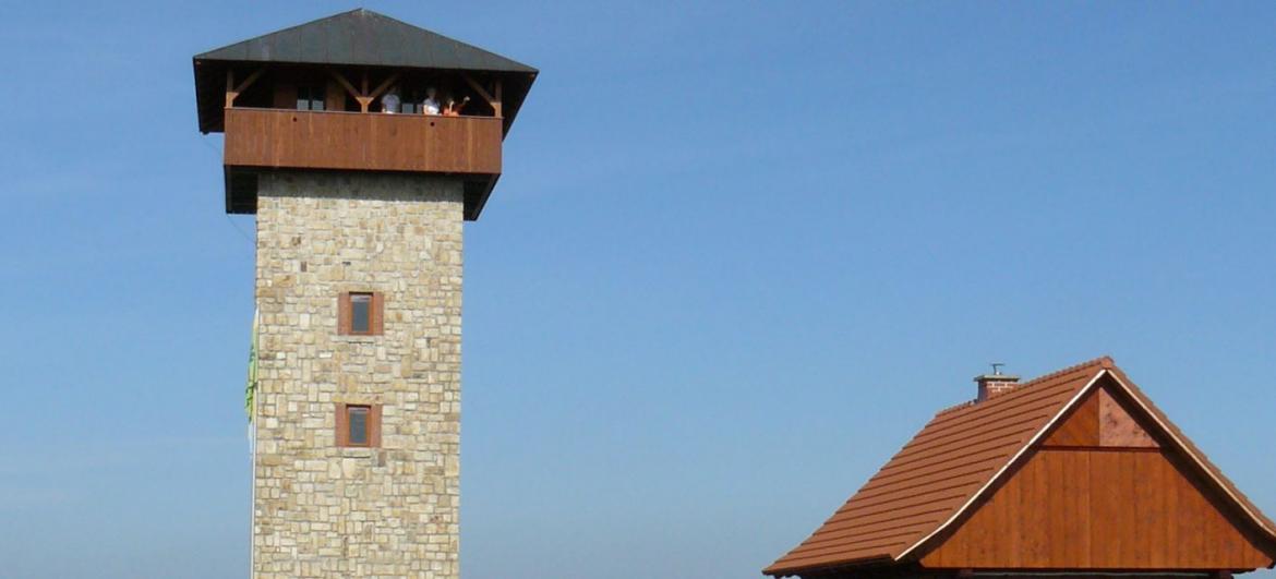 Rozhledna U borovice