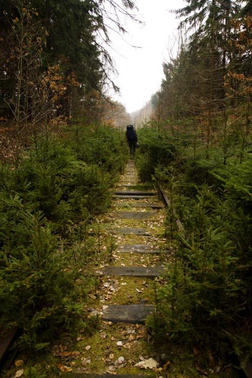 Malebná trať