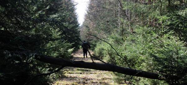 Mrtvá trať 162* Kralovice - Mladotice