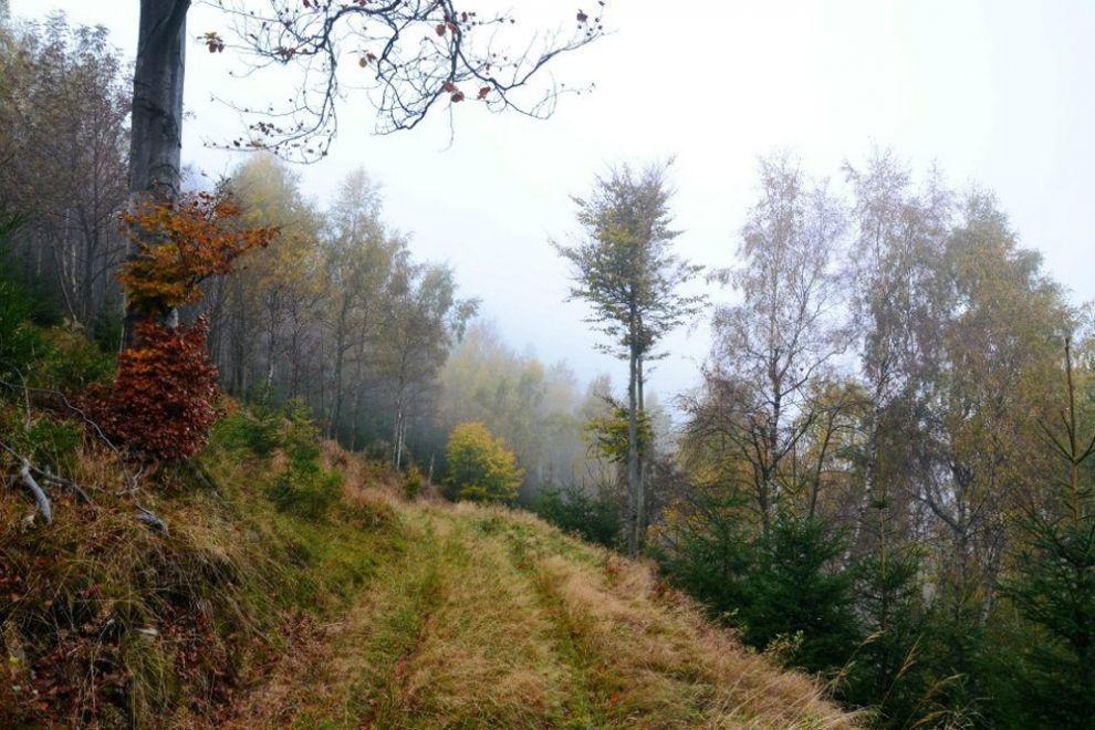 Pokračující cesta