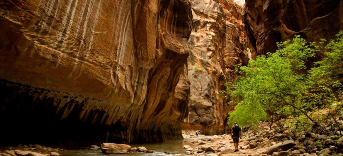 Túra soutěskou The Narrows v Zion N.P.