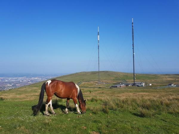 Divis a Black mountain