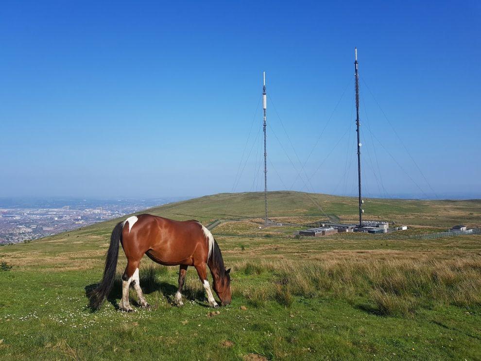 Divis a Black mountain