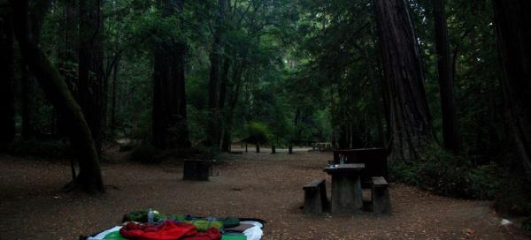 Portola Redwood State Park
